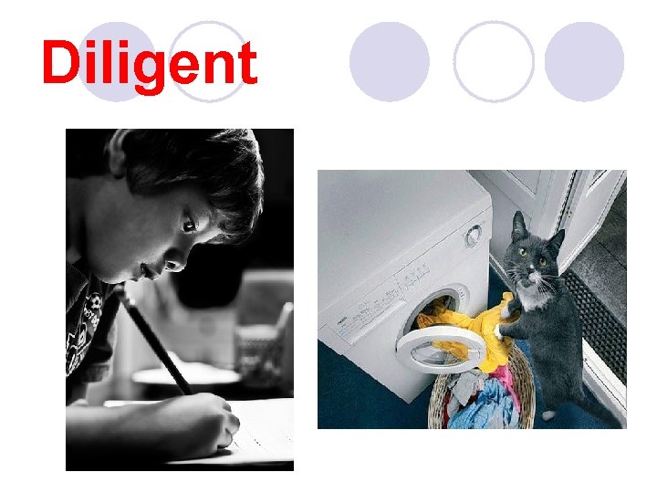 Diligent 