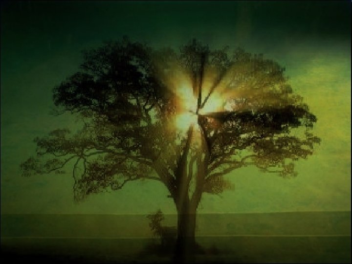 10/7/2020 Free Template from www. brainybetty. com 18 