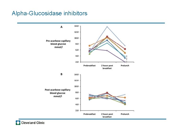 Alpha-Glucosidase inhibitors 