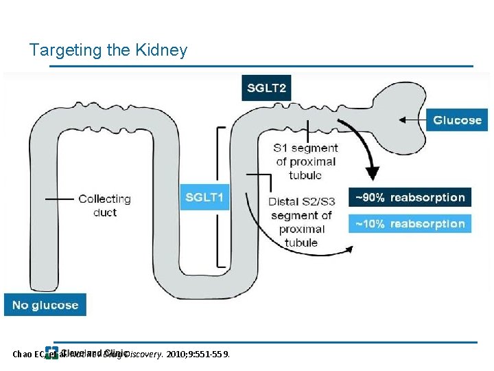 Targeting the Kidney Chao EC, et al. Nat Rev Drug Discovery. 2010; 9: 551