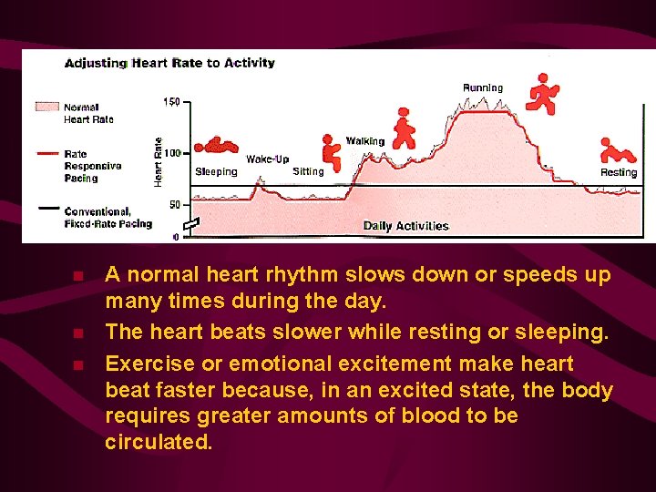 n n n A normal heart rhythm slows down or speeds up many times