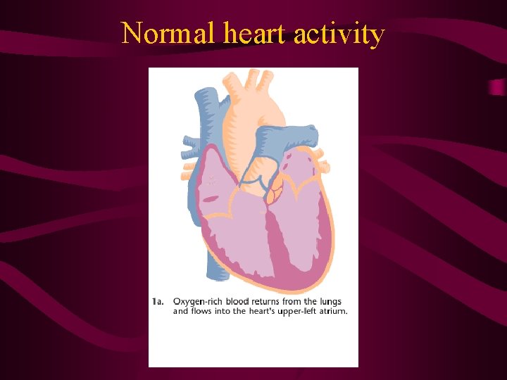 Normal heart activity 