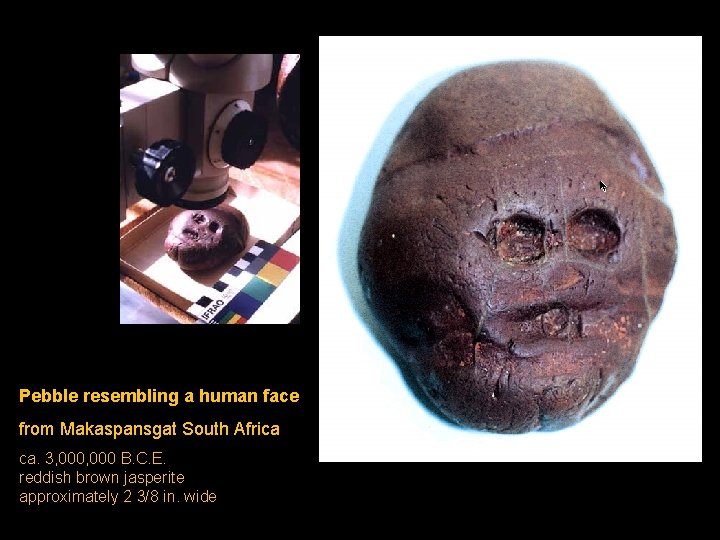 Pebble resembling a human face from Makaspansgat South Africa ca. 3, 000 B. C.