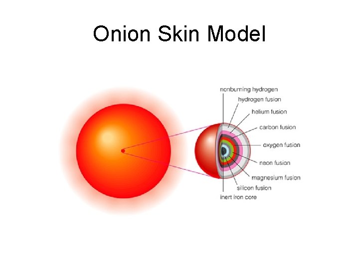 Onion Skin Model 