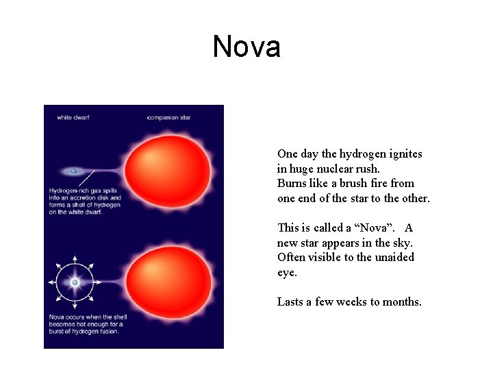 Nova One day the hydrogen ignites in huge nuclear rush. Burns like a brush