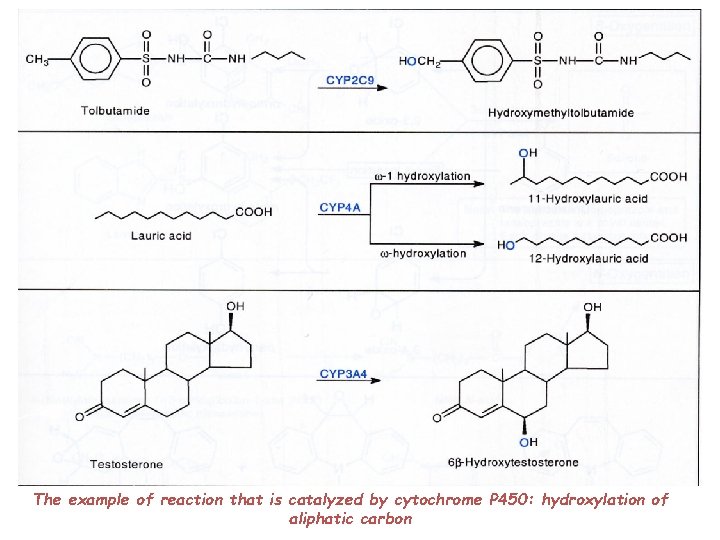 The example of reaction that is catalyzed by cytochrome P 450: hydroxylation of aliphatic