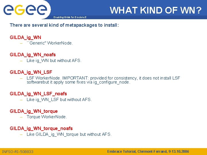 WHAT KIND OF WN? Enabling Grids for E-scienc. E There are several kind of