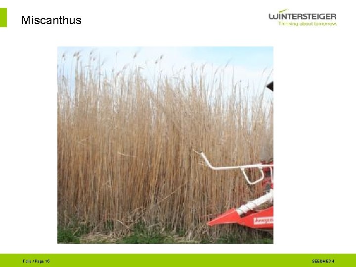 Miscanthus Folie / Page 15 SEEDMECH 