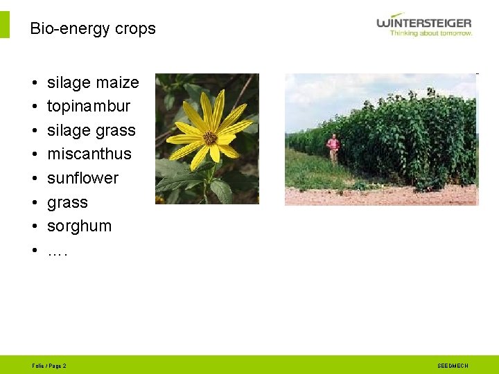 Bio-energy crops • • silage maize topinambur silage grass miscanthus sunflower grass sorghum ….