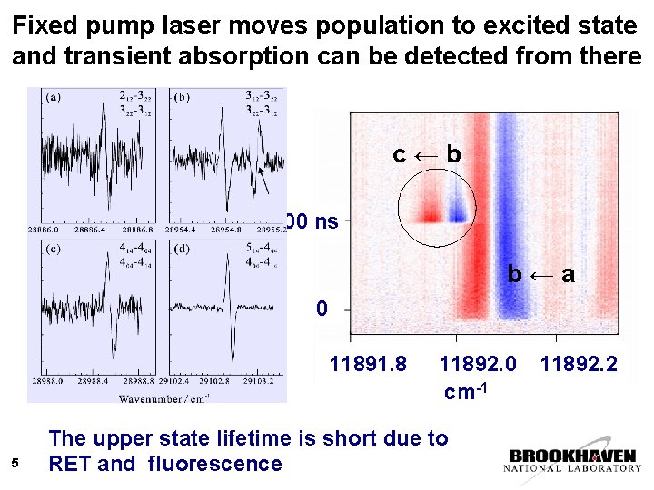 Fixed pump laser moves population to excited state and transient absorption can be detected