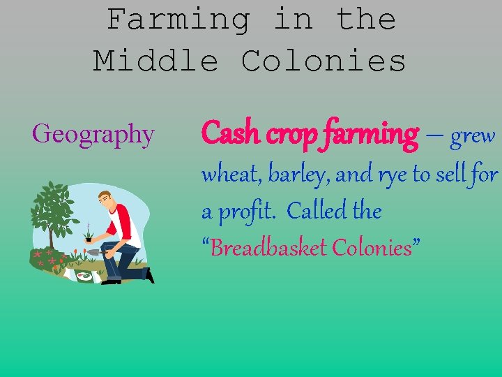 Farming in the Middle Colonies Geography Cash crop farming – grew wheat, barley, and