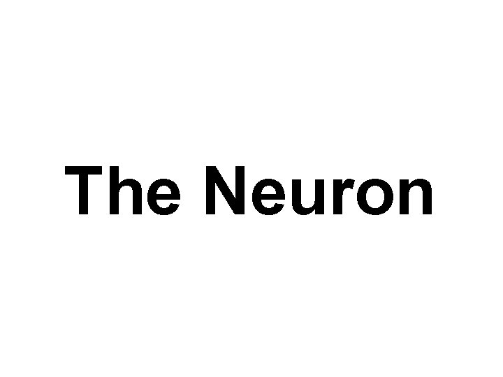 The Neuron 