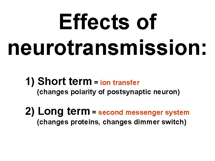 Effects of neurotransmission: 1) Short term = ion transfer (changes polarity of postsynaptic neuron)