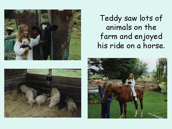 Teddy saw lots of animals on the farm and enjoyed his ride on a