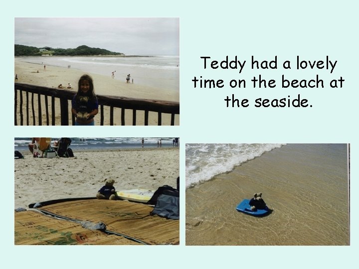 Teddy had a lovely time on the beach at the seaside. 