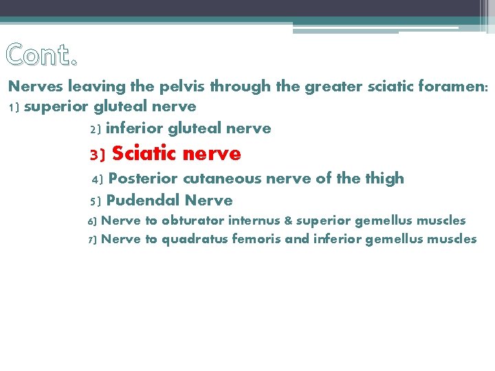 Cont. Nerves leaving the pelvis through the greater sciatic foramen: 1) superior gluteal nerve