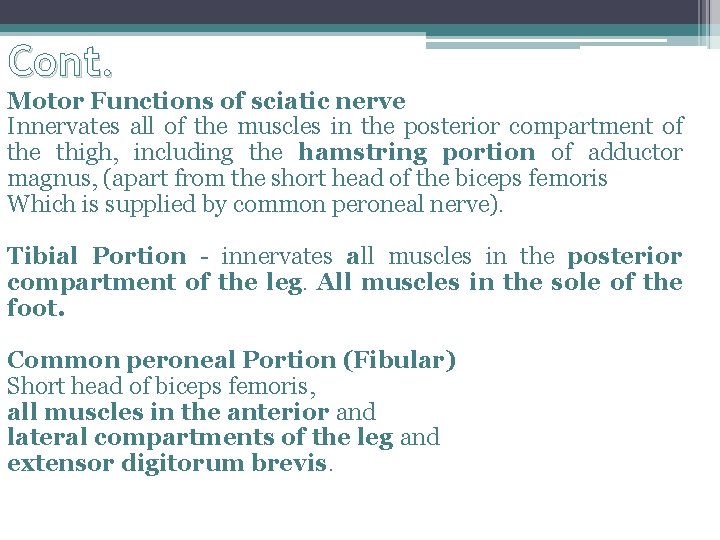 Cont. Motor Functions of sciatic nerve Innervates all of the muscles in the posterior Cont. Motor Functions of sciatic nerve Innervates all of the muscles in the posterior