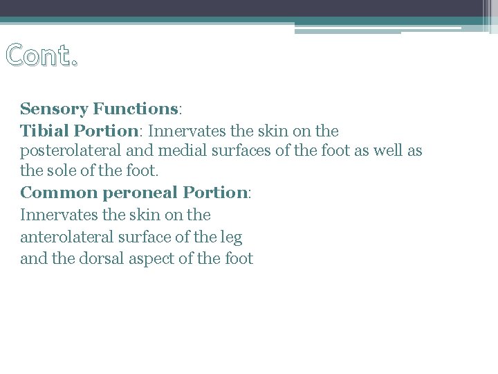 Cont. Sensory Functions: Tibial Portion: Innervates the skin on the posterolateral and medial surfaces Cont. Sensory Functions: Tibial Portion: Innervates the skin on the posterolateral and medial surfaces
