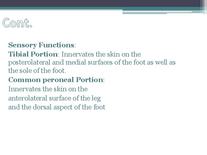 Cont. Sensory Functions: Tibial Portion: Innervates the skin on the posterolateral and medial surfaces