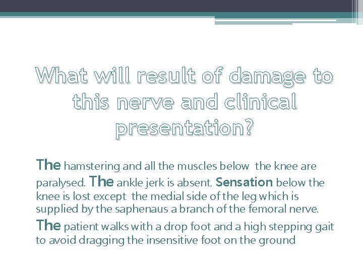 What will result of damage to this nerve and clinical presentation? The hamstering and