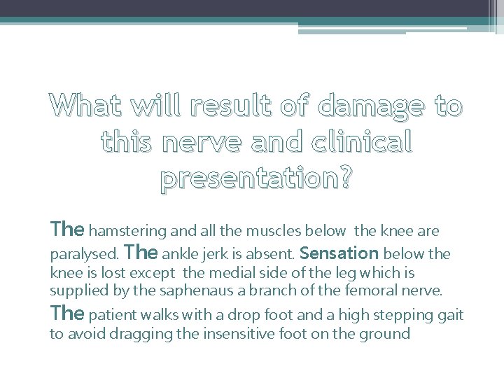 What will result of damage to this nerve and clinical presentation? The hamstering and What will result of damage to this nerve and clinical presentation? The hamstering and