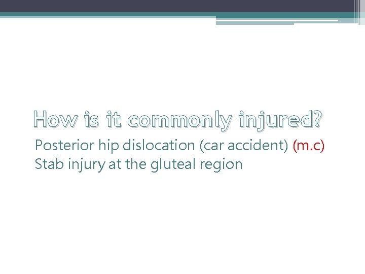 How is it commonly injured? Posterior hip dislocation (car accident) (m. c) Stab injury How is it commonly injured? Posterior hip dislocation (car accident) (m. c) Stab injury