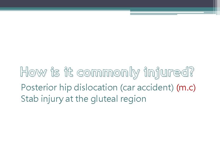 How is it commonly injured? Posterior hip dislocation (car accident) (m. c) Stab injury