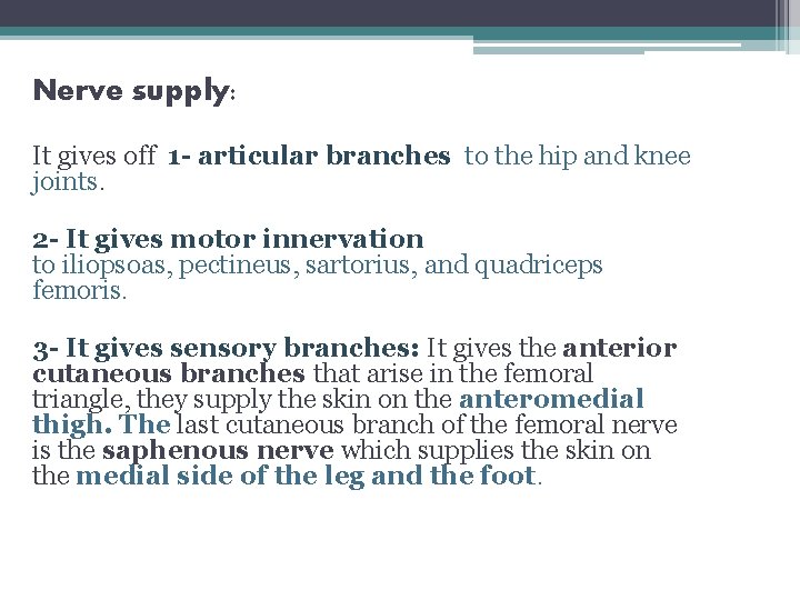 Nerve supply: It gives off 1 - articular branches to the hip and knee