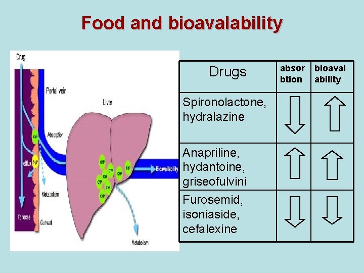 Food and bioavalability Drugs Spironolactone, hydralazine Anapriline, hydantoine, griseofulvini Furosemid, isoniaside, cefalexine absor btion Food and bioavalability Drugs Spironolactone, hydralazine Anapriline, hydantoine, griseofulvini Furosemid, isoniaside, cefalexine absor btion