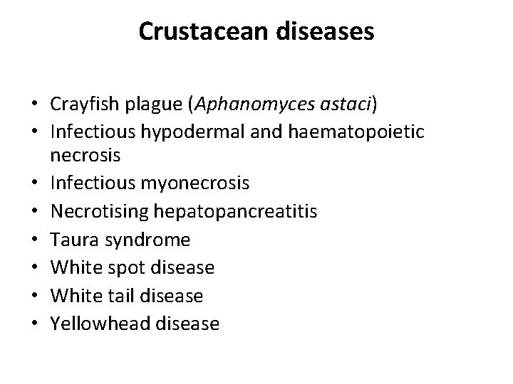 Crustacean diseases • Crayfish plague (Aphanomyces astaci) • Infectious hypodermal and haematopoietic necrosis •