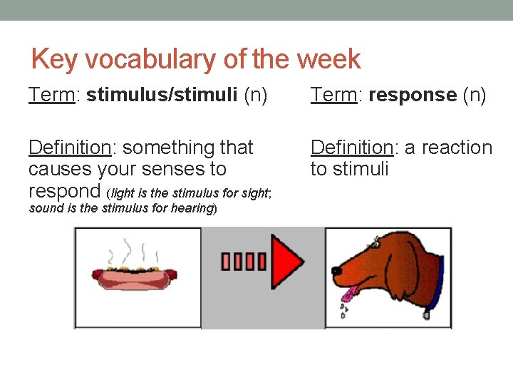 Key vocabulary of the week Term: stimulus/stimuli (n) Term: response (n) Definition: something that