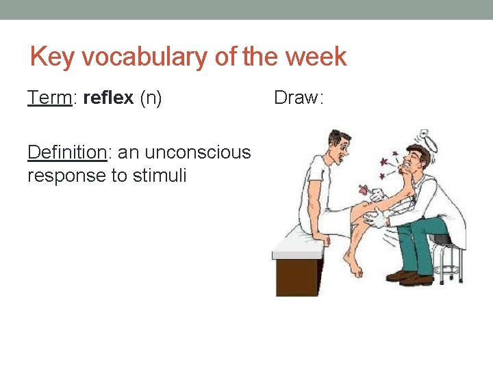 Key vocabulary of the week Term: reflex (n) Definition: an unconscious response to stimuli