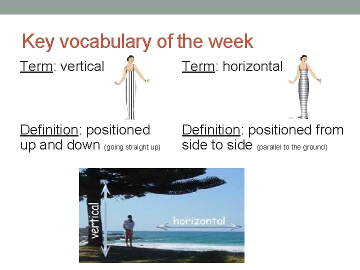 Key vocabulary of the week Term: vertical Term: horizontal Definition: positioned up and down