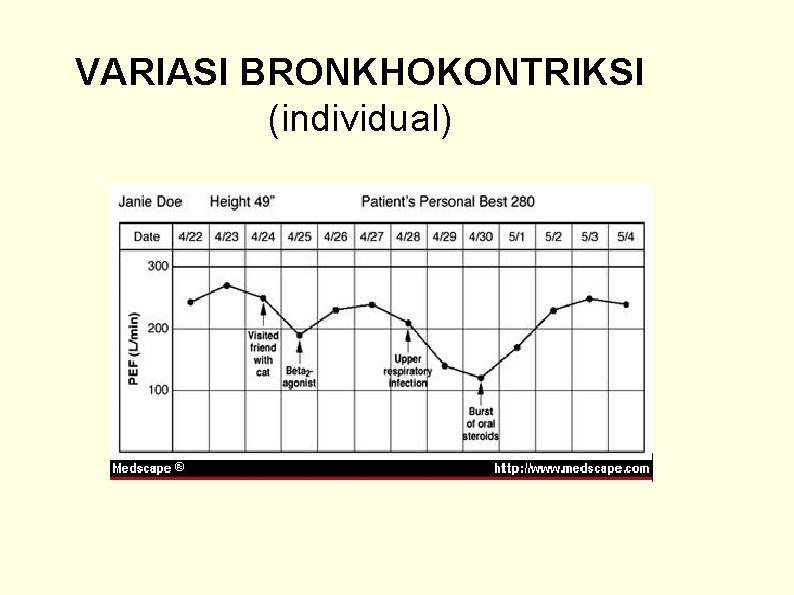 VARIASI BRONKHOKONTRIKSI (individual) 