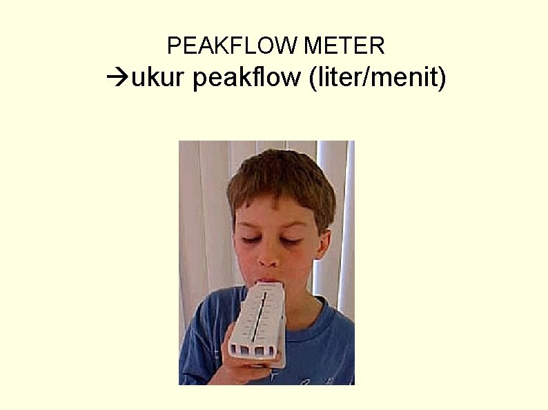 PEAKFLOW METER ukur peakflow (liter/menit) 