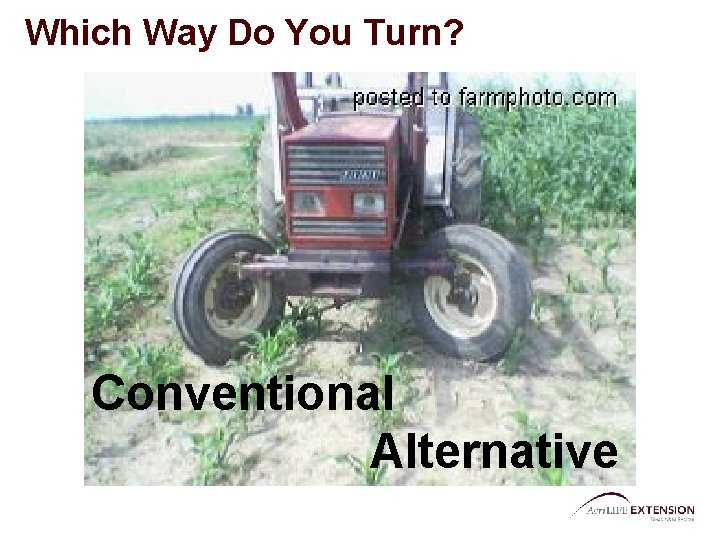 Which Way Do You Turn? Conventional Alternative 