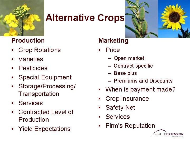 Alternative Crops Production Marketing • • • Price Crop Rotations Varieties Pesticides Special Equipment