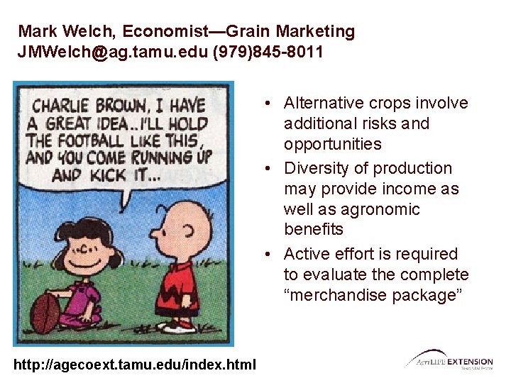 Mark Welch, Economist—Grain Marketing JMWelch@ag. tamu. edu (979)845 -8011 • Alternative crops involve additional