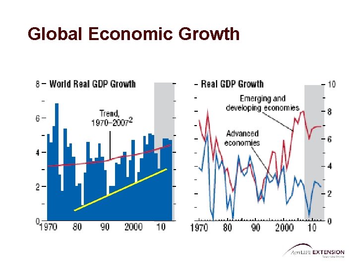 Global Economic Growth 