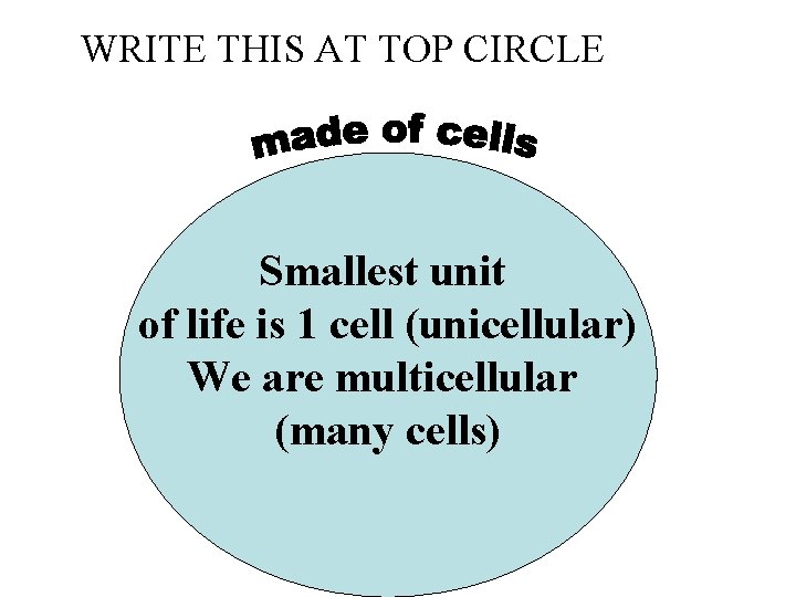 WRITE THIS AT TOP CIRCLE Smallest unit of life is 1 cell (unicellular) We