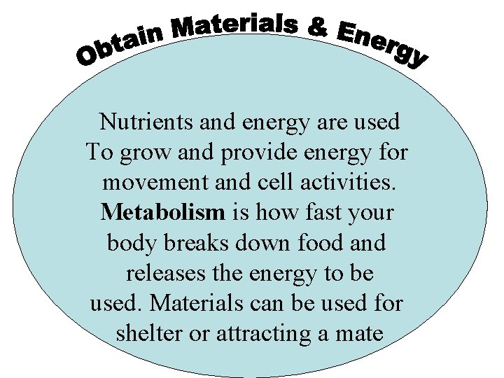 Nutrients and energy are used To grow and provide energy for movement and cell