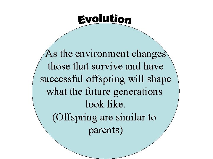 As the environment changes those that survive and have successful offspring will shape what