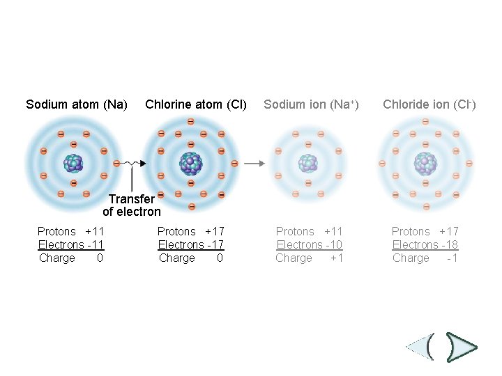 Figure 2 -3 Ionic Bonding Section 2 -1 Sodium atom (Na) Chlorine atom (Cl)