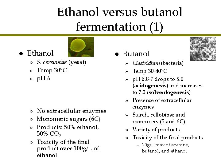 Ethanol versus butanol fermentation (1) l Ethanol » S. cerevisiae (yeast) » Temp 30°C