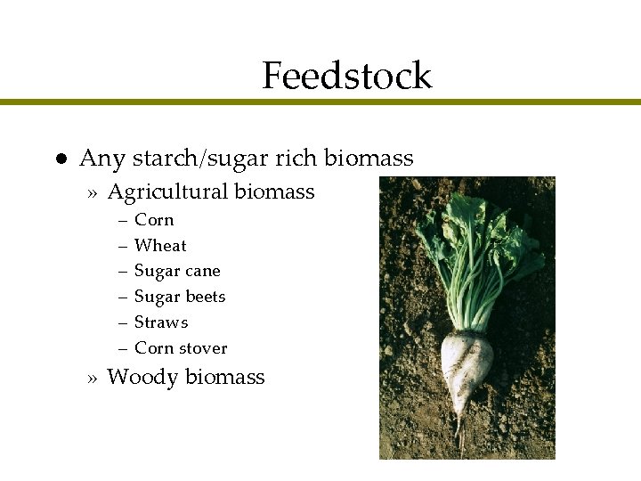 Feedstock l Any starch/sugar rich biomass » Agricultural biomass – – – Corn Wheat