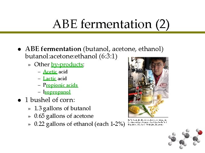 ABE fermentation (2) l ABE fermentation (butanol, acetone, ethanol) butanol: acetone: ethanol (6: 3: