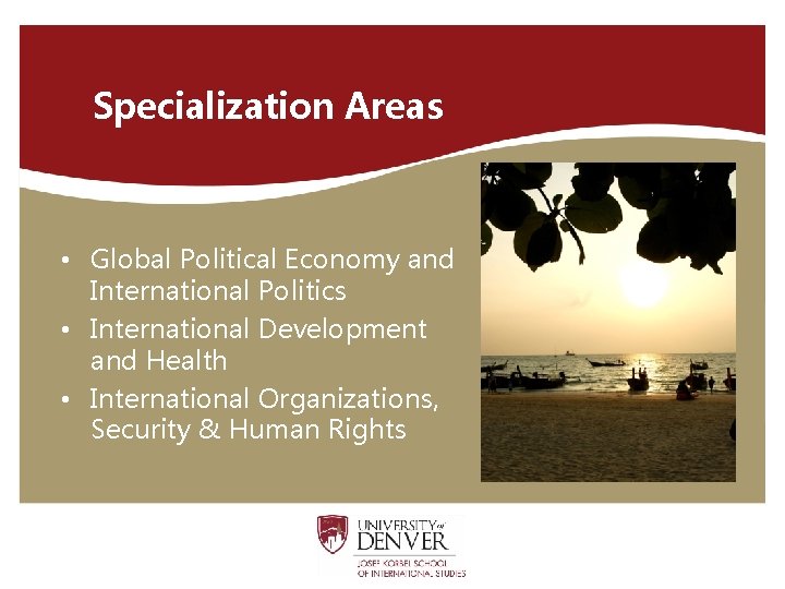 Specialization Areas • Global Political Economy and International Politics • International Development and Health
