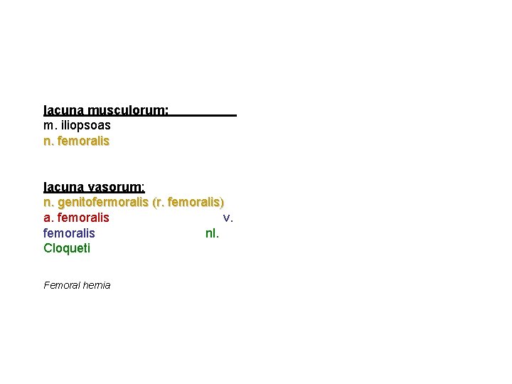 lacuna musculorum: m. iliopsoas n. femoralis lacuna vasorum: n. genitofermoralis (r. femoralis) a. femoralis