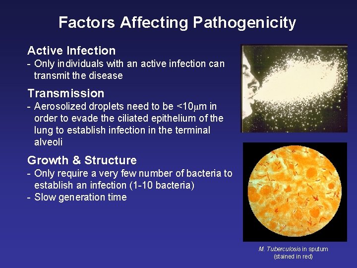 Factors Affecting Pathogenicity Active Infection - Only individuals with an active infection can transmit