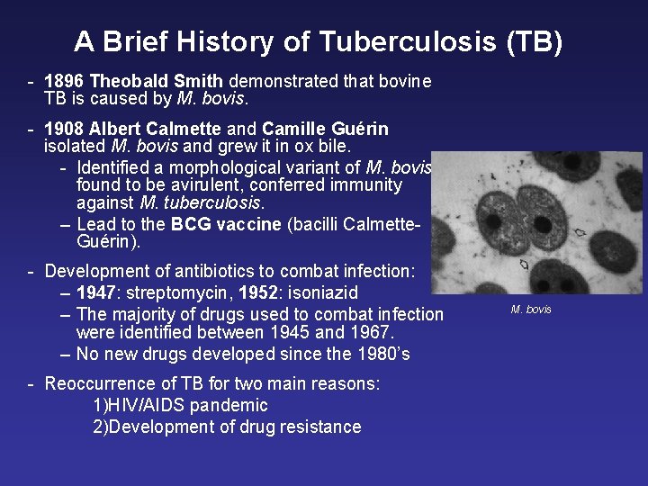 A Brief History of Tuberculosis (TB) - 1896 Theobald Smith demonstrated that bovine TB